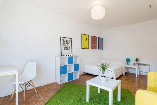 Cosy double bedroom close to Place Guichard Bourse du Travail metro