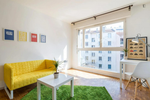 Cosy double bedroom close to Place Guichard Bourse du Travail metro