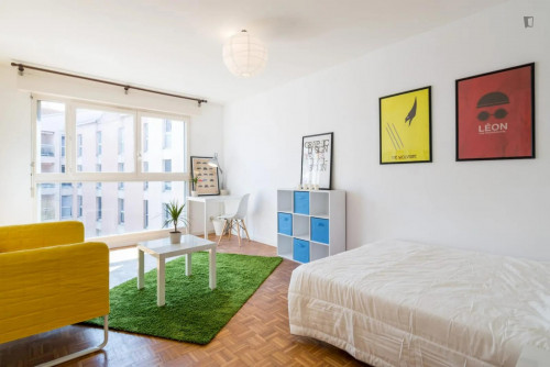 Cosy double bedroom close to Place Guichard Bourse du Travail metro