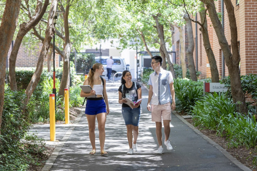 Sydney University Village - Communal Area