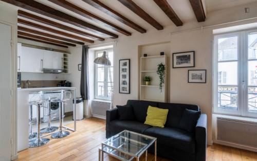 Nice 1-bedroom apartment in Paris (Montmartre)