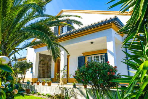 Madeira Home - Gallery - 34
