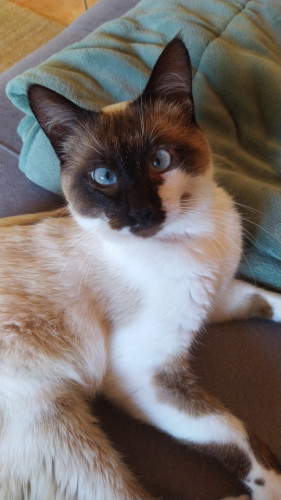 Stunning house near Santa Barbara beach