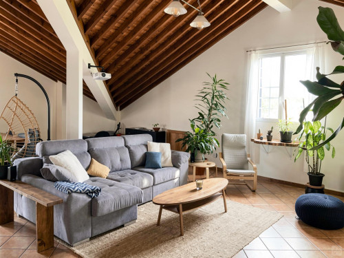 Madeira Home - Gallery - 24