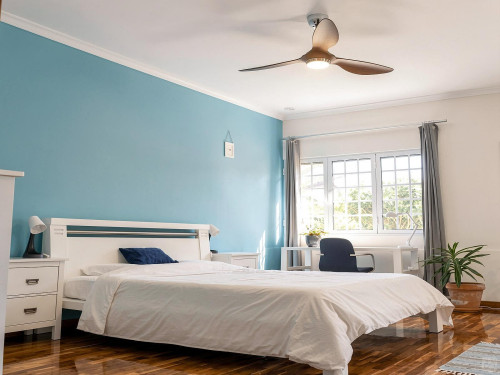Madeira Home - Gallery - 25
