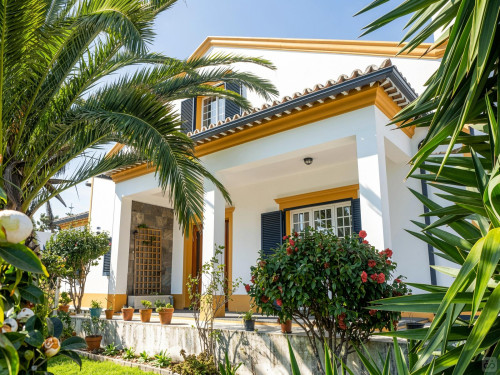 Madeira Home - Gallery - 20