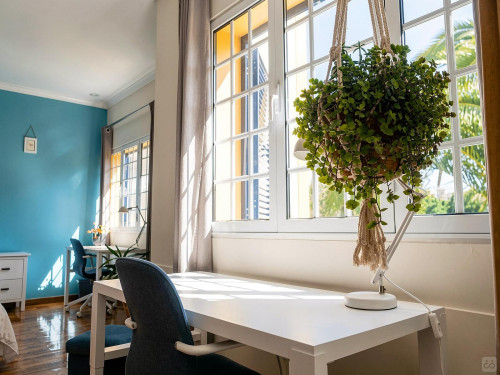 Madeira Home - Gallery - 38