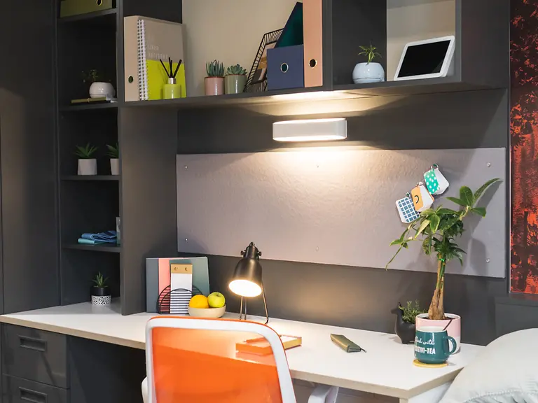  Classic Studio  -  Oxford House  - Gallery -  15