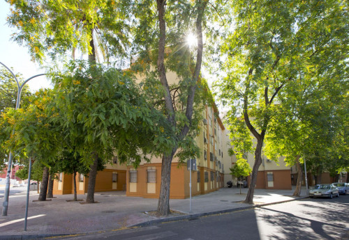 Neat 2-bedroom apartment in Tiro de Linea
