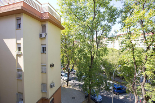 Neat 2-bedroom apartment in Tiro de Linea - Gallery - 6