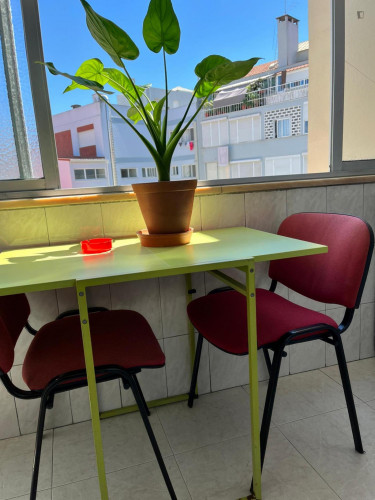 Sunny single bedroom in a 4-bedroom flat