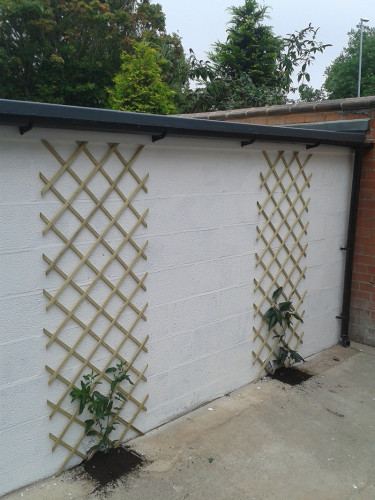 544 Beverley Road  - Gallery -  5