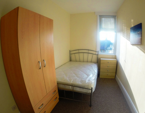 544 Beverley Road  - Gallery -  2