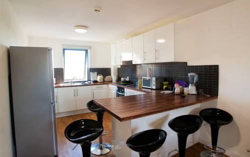 Shand House - Gallery - 11