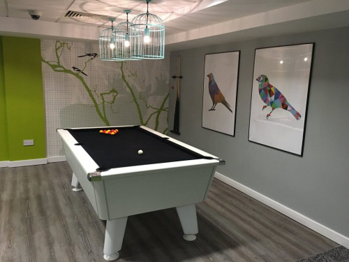 Shand House - Gallery - 21