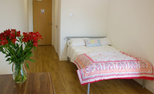 Shand House - Gallery - 14