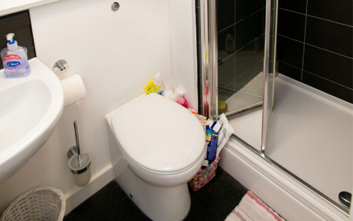 Shand House - Gallery - 10