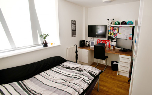 Shand House - Gallery - 9