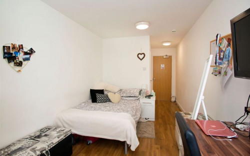 Shand House - Gallery - 24