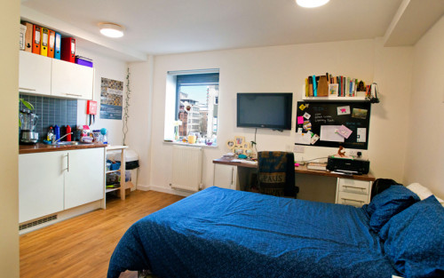 Shand House - Gallery - 6