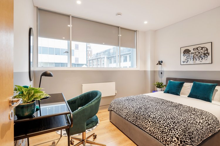 3 Bed Apartment - 2