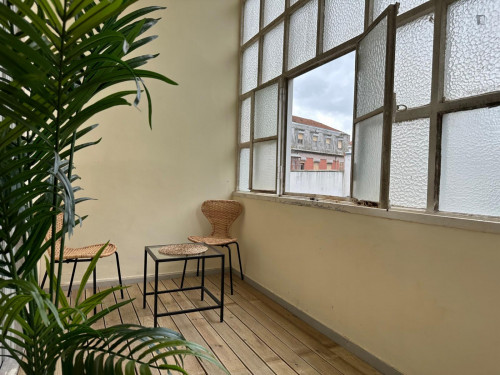 Ample and welcoming studio in Marquês de Pombal