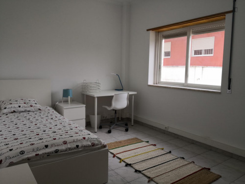 Single bedroom in 6-bedroom apartment
