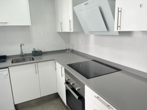 Comfy double bedroom in a renovated apartment close to Teatre La Plazeta - Gallery - 22