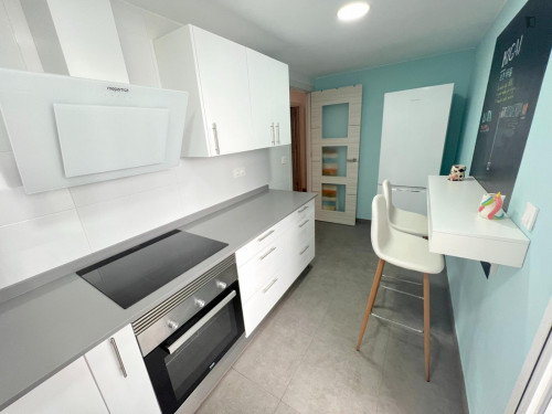 Comfy double bedroom in a renovated apartment close to Teatre La Plazeta - Gallery - 19