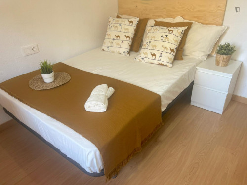 Comfy double bedroom in a renovated apartment close to Teatre La Plazeta - Gallery - 29