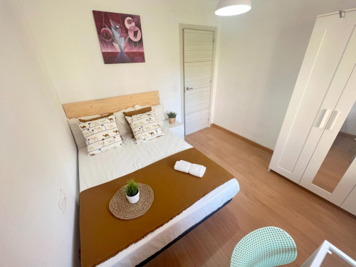 Comfy double bedroom in a renovated apartment close to Teatre La Plazeta - Gallery - 28