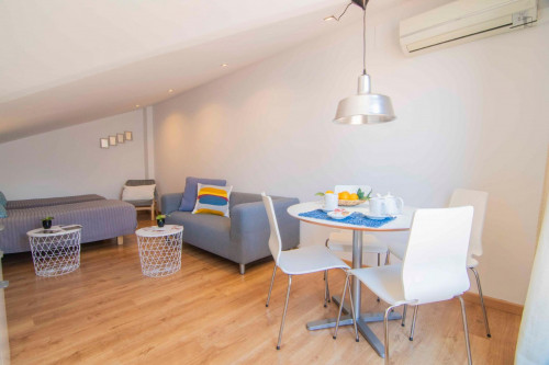 Nice 1-bedroom apartment near Iglesia de San Antón