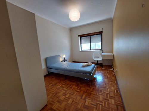 Cosy single bedroom next to Docas of Castelo Branco