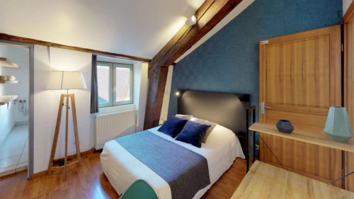 Cushy double bedroom not far from Hôtel de Ville L. Pradel metro station