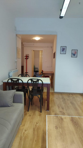 Central furnished apartment - two places - Foreign students welcome