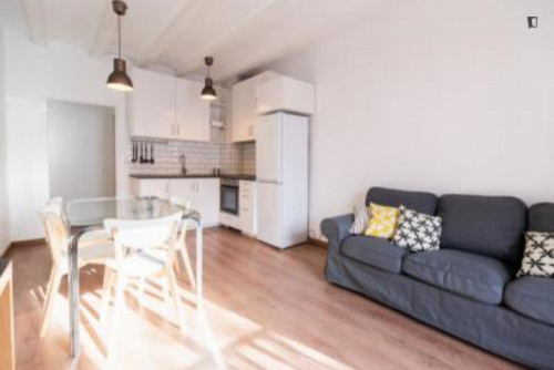 Sublime 2-bedroom apartment in Barrio Gótico