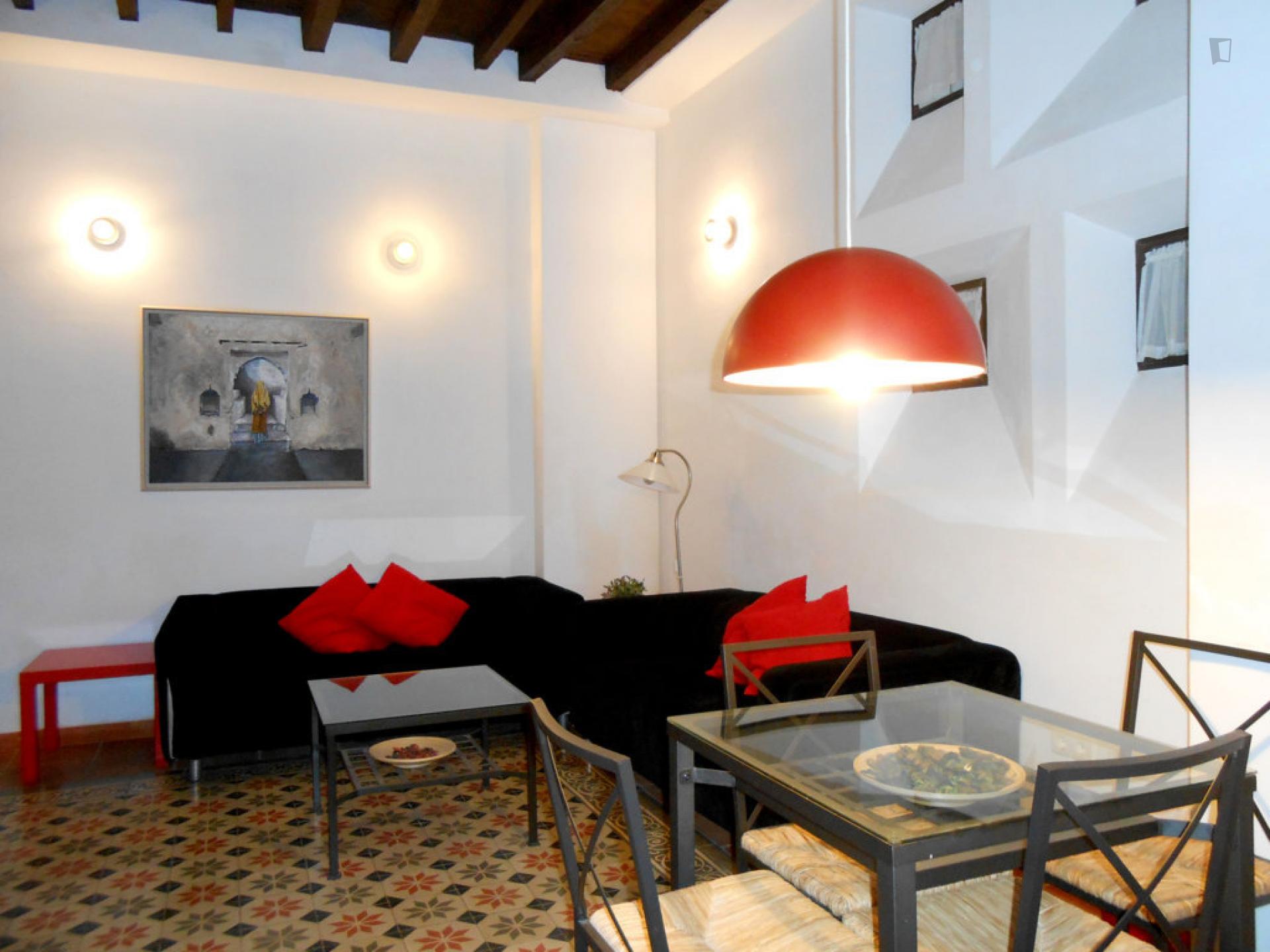 Tasteful 1-bedroom apartment in the vibrant centre of Granada