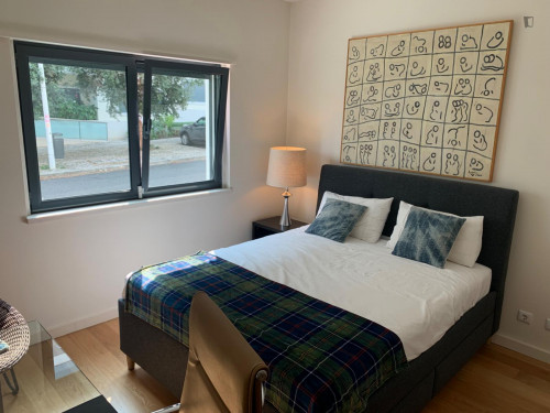Sunny double bedroom in a charming flat