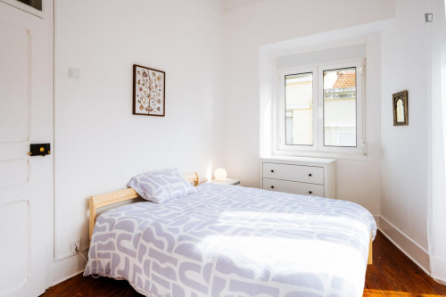 Lovely double bedroom in Penha de França