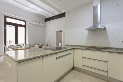 Charming double bedroom near Plaça de la Mare de Déu - Gallery - 16
