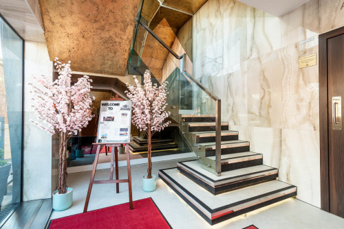 Arden Street  - Gallery -  3