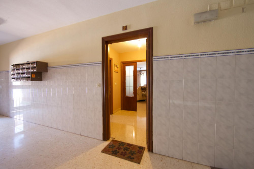 Single bedroom for female tenants in a 4-bedroom apartment in Parque Azahara - Gallery - 7