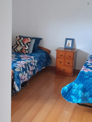 Nice twin Bedroom close to Oliveira de Azemeis Train Station