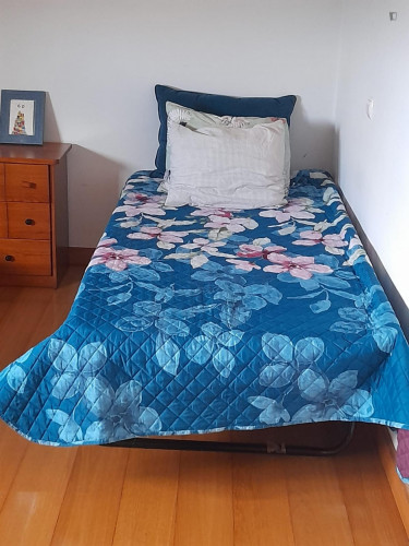 Nice twin Bedroom close to Oliveira de Azemeis Train Station