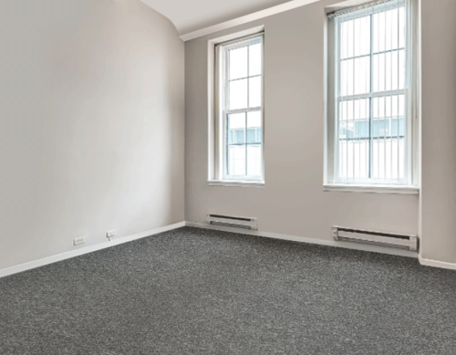 731 S. Plymouth - Gallery - 13