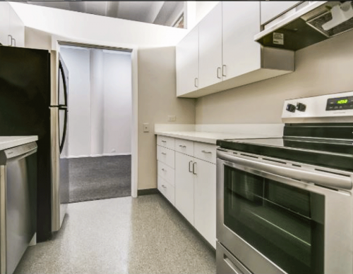 731 S. Plymouth - Gallery - 11