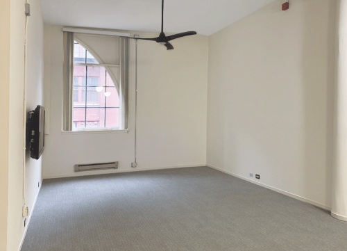 731 S. Plymouth - Gallery - 15