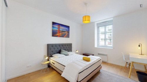 Bright double bedroom in the Île de Nantes