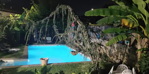 Welcoming 2 Bedroom House with a private swimming pool close to University of Minho - Gallery - 11