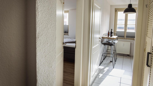 WE 50 Welcoming apartment nearby the Museum of Cultural History Magdeburg